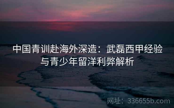 中国青训赴海外深造：武磊西甲经验与青少年留洋利弊解析