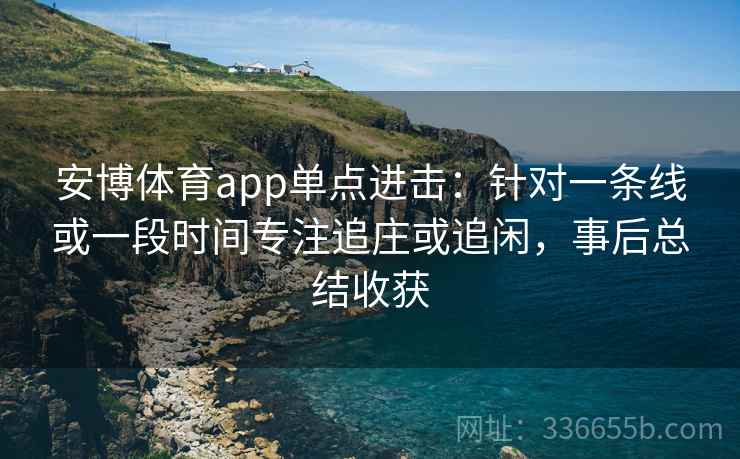 安博体育app单点进击：针对一条线或一段时间专注追庄或追闲，事后总结收获
